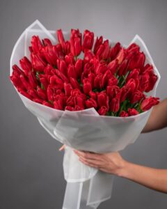 solla outdoor sunglasses