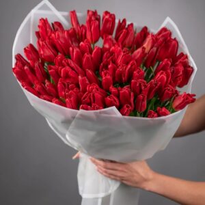 solla outdoor sunglasses