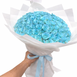 alnich night dress navy