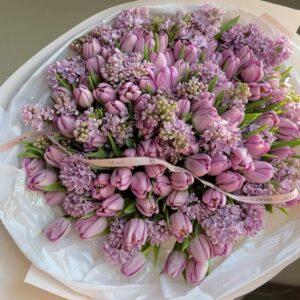 whatsapp image 2026 02 24 at 10.07.55