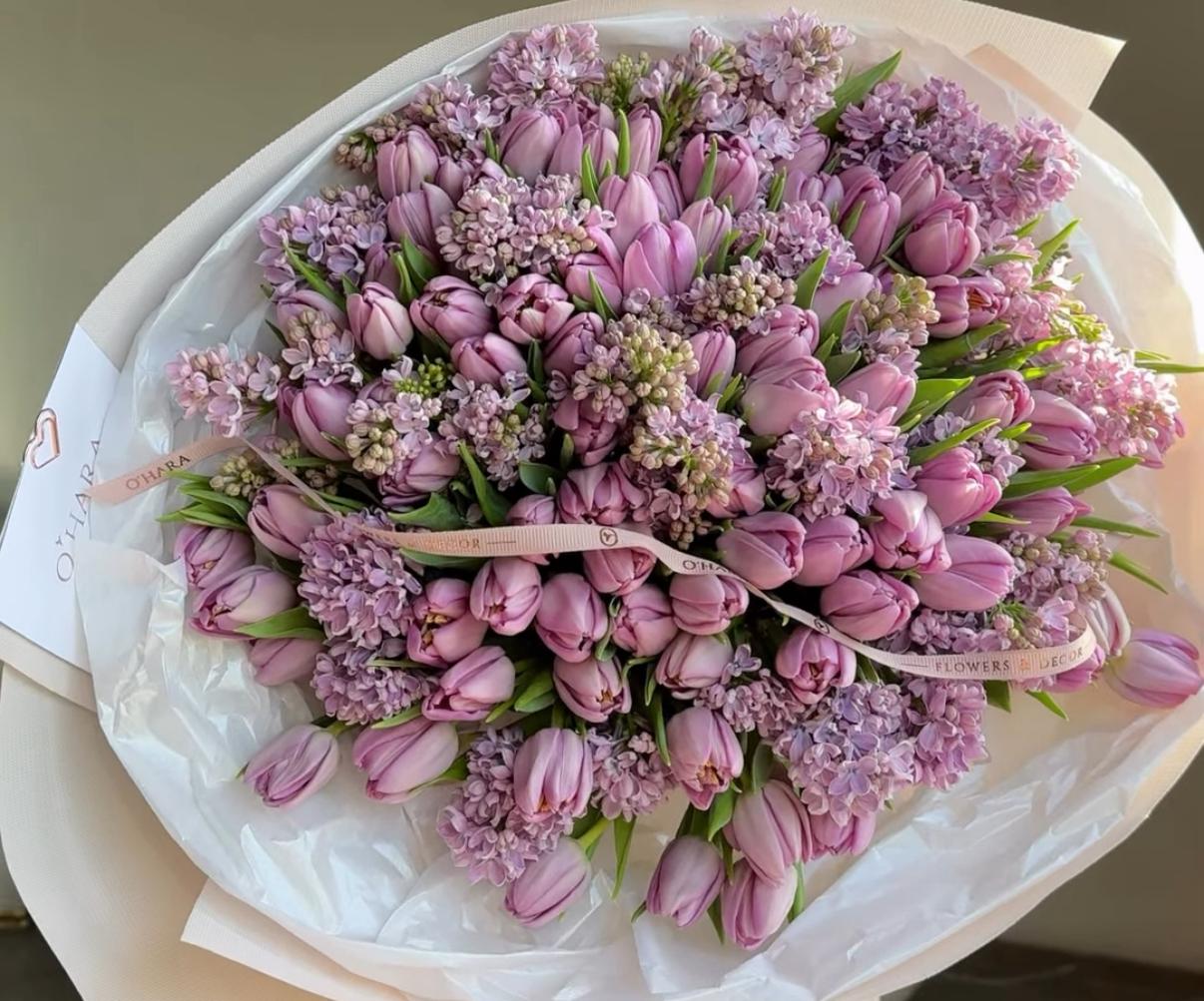 whatsapp image 2026 02 24 at 10.07.55