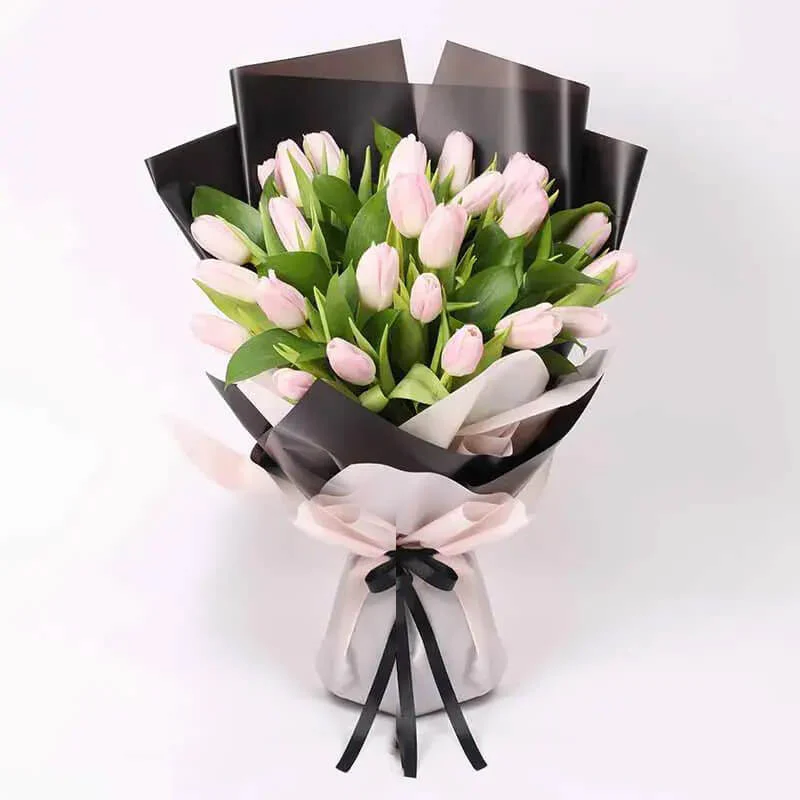 mila dual pocket pant